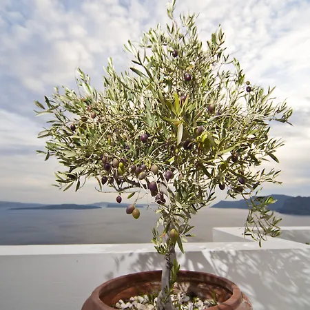 デルフィニ ヴィラス